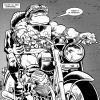 Heavy Metal Thunder Ninja Turtle