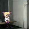 nullcat0
