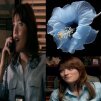 Shizoaffective Laurie