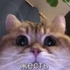 Врыбыбрывырбыр