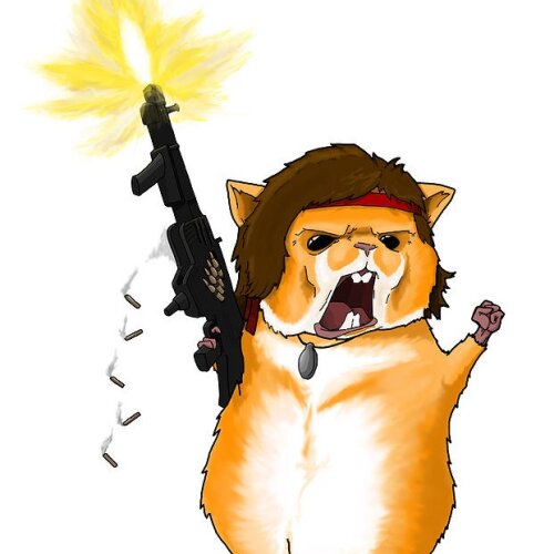Maxximian