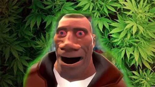 Max._.Vegan