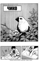Chirpy / Чико