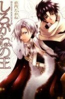 Silvern Kingdom / Серебряное королевство