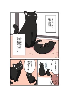 История о чёрной кошке